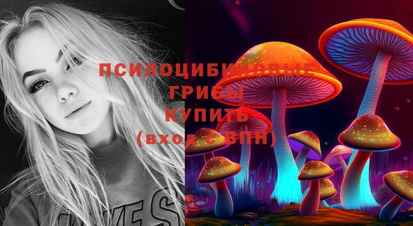 тгк Пролетарск