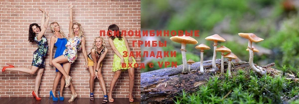 метамфетамин Покачи