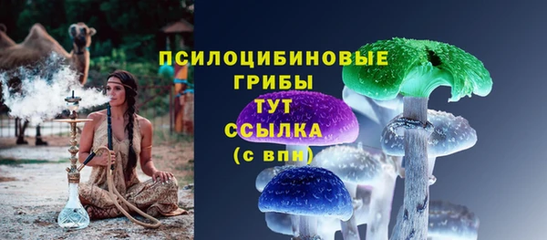 таблы Приозерск