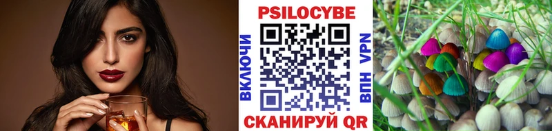 даркнет сайт Терек Псилоцибиновые грибы ЛСД