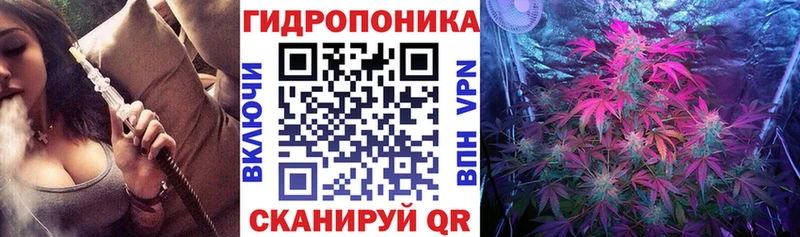 Бошки Шишки OG Kush  мега как зайти  Терек 